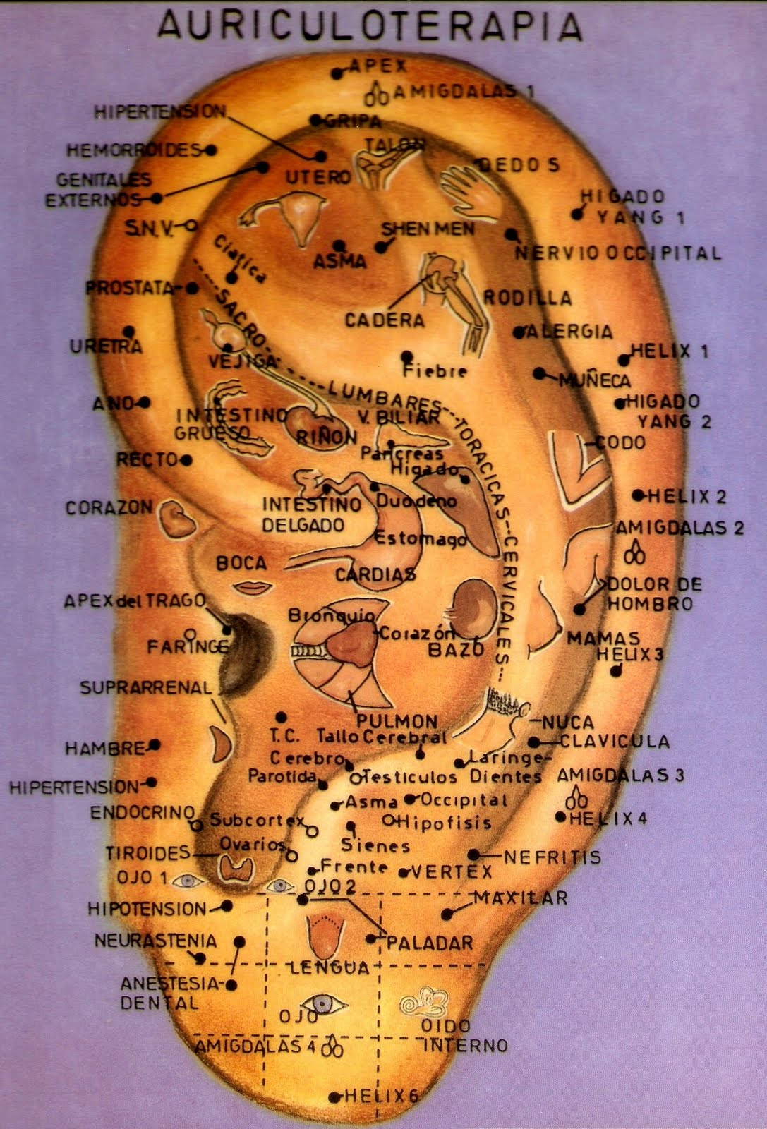 trastorno ansiedad prostata