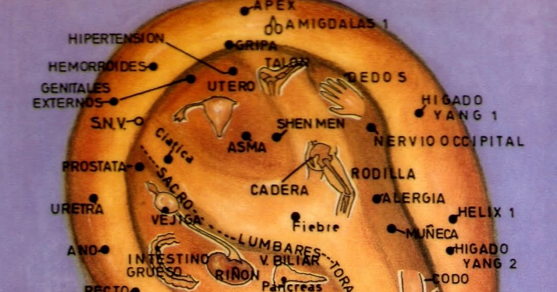 SALUD HOLÍSTICA ¿Qué es la Auriculoterapia?