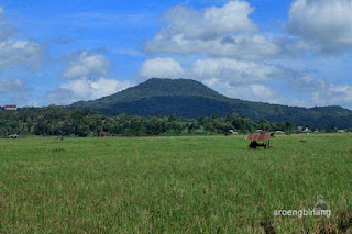 roong tondano minahasa sulawesi utara