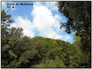 Siguenos en Facebook