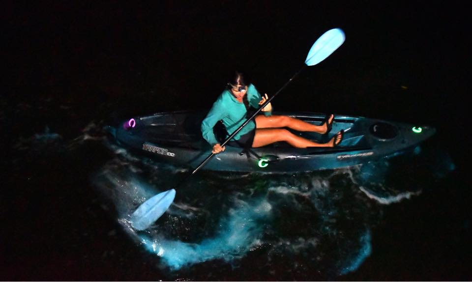 BIOLUMINESCENT TOURS WITH COCOA KAYAKING!