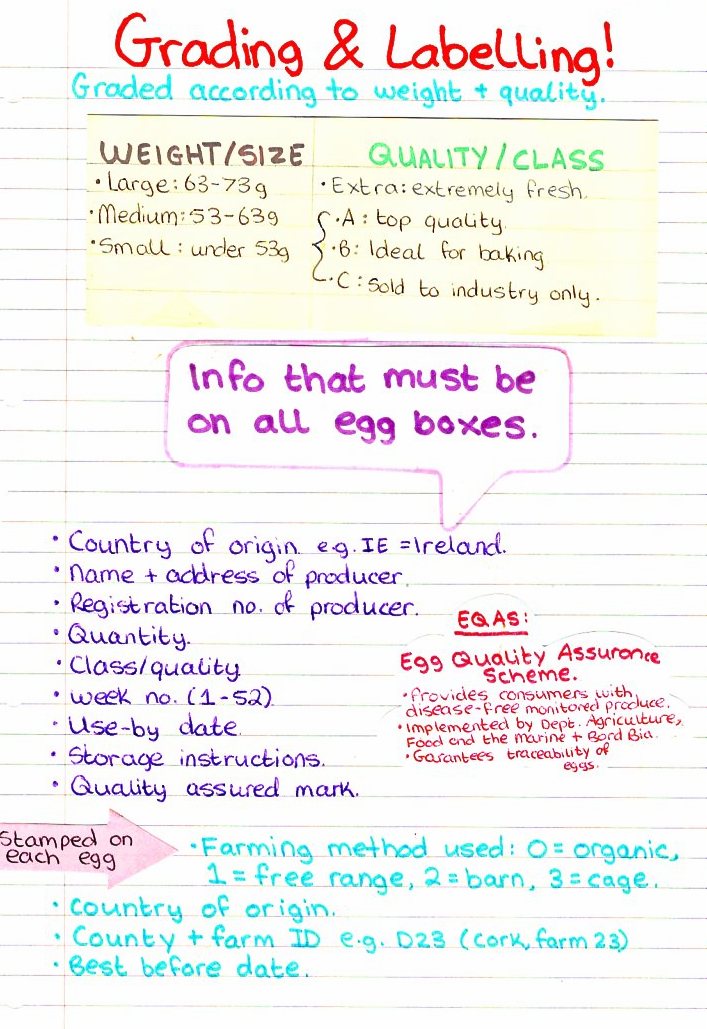 Study Notes By Kaz Home Economics