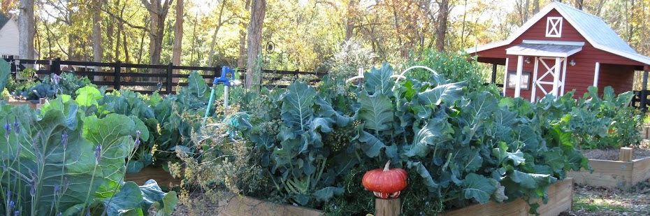 Green Meadows Community Garden