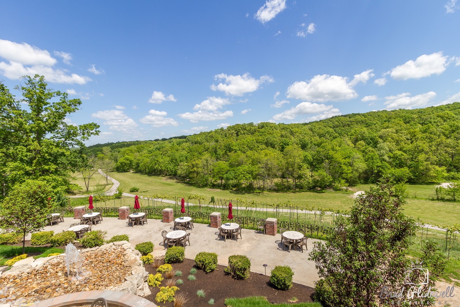 Seven Springs Winery It's Time to Come Back to the Winery