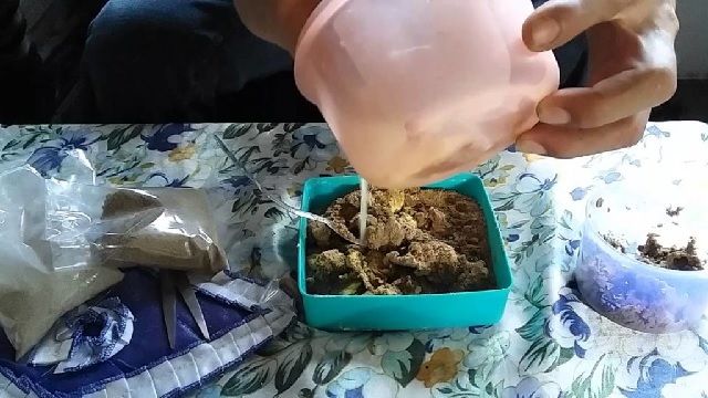 Cara Meracik Essen Ikan Mas Paling Bagus Segala Cuaca Cara Meracik Essen Ikan Mas Paling Bagus Segala Cuaca