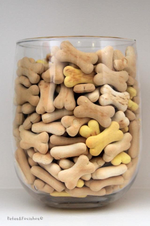 Dr. Pedro Nabais Dog Treats, como e quando devemos dar O MUNDO DO LUCAS