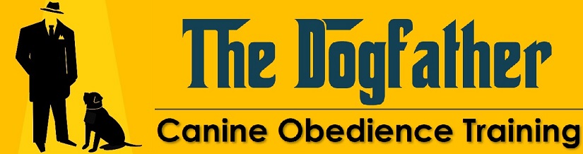 The Dogfather  Canine Obedience Training