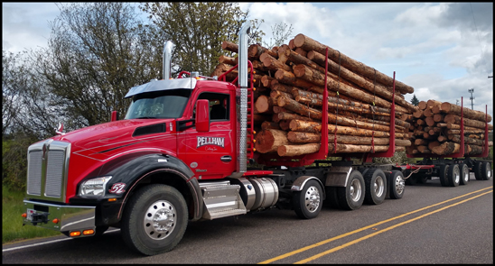Pellham Cutting Kenworth T880