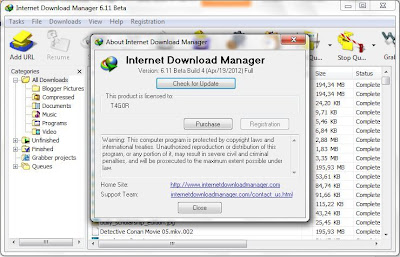IDM internet download manager [planet free]