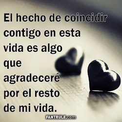 amor frases mi perfil dedicar imagenes cortas novia whatsapp te vida bonitas imagen i0