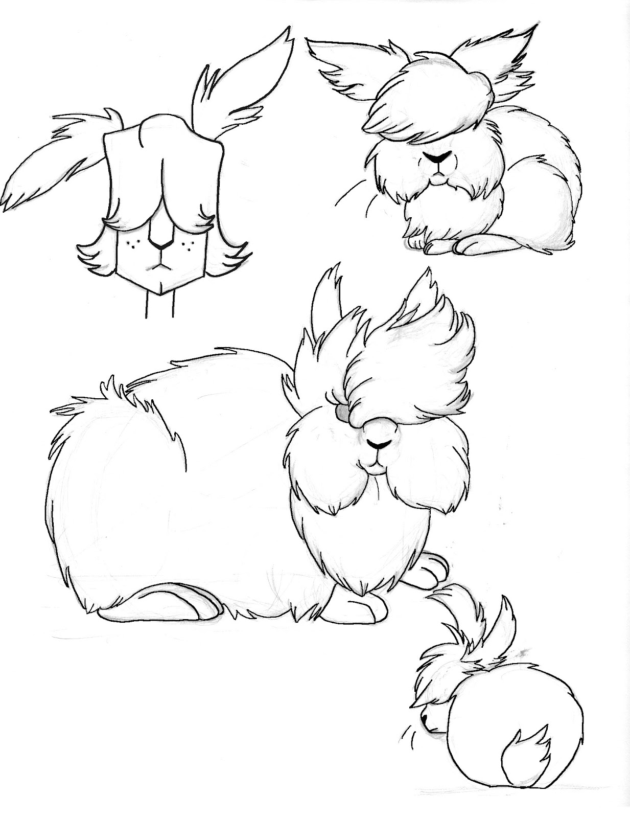 Holley Storms Animation Lionhead rabbits breakdown