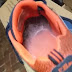 OH NO! Dad found something venomous and deadly inside his son's shoe!