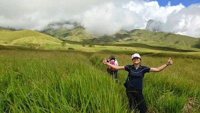 Savanna Grass Tall at Sembalun Lawang altitude 1500 m National Park Mount Rinjani