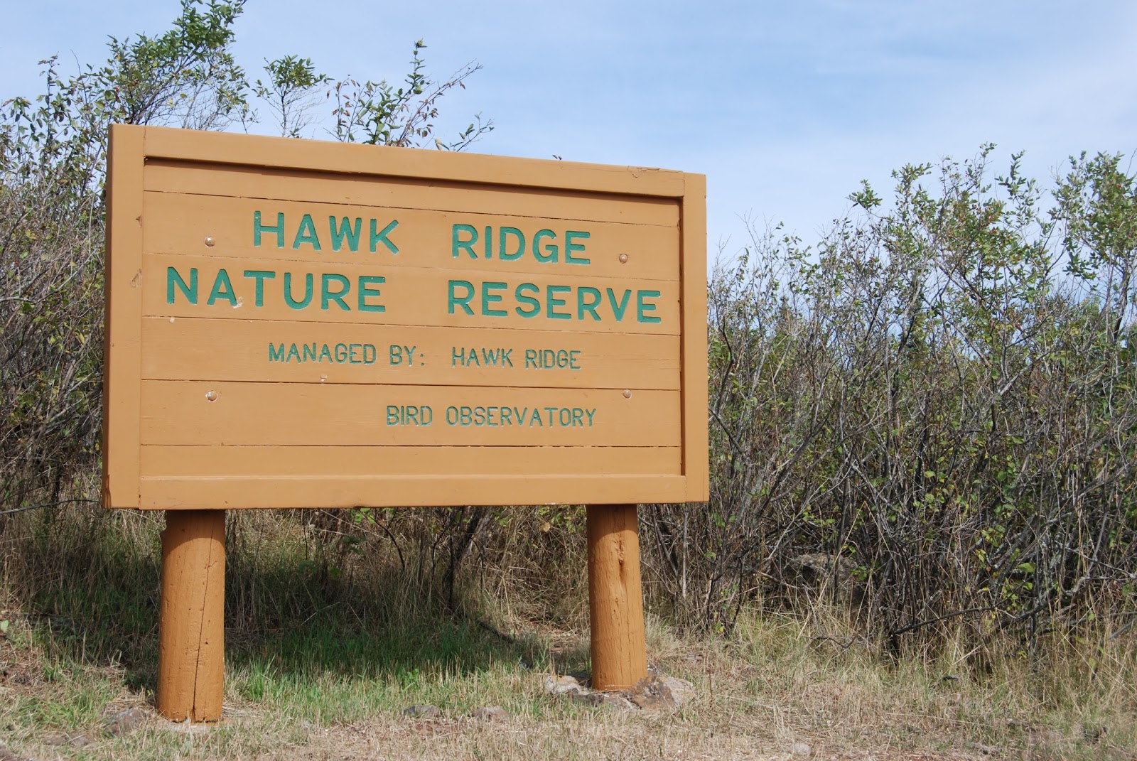 Hawk Ridge Blog Hawk Ridge Bird Observatory Mission, Vision, and Values