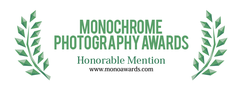 Monochrome Awards 2017