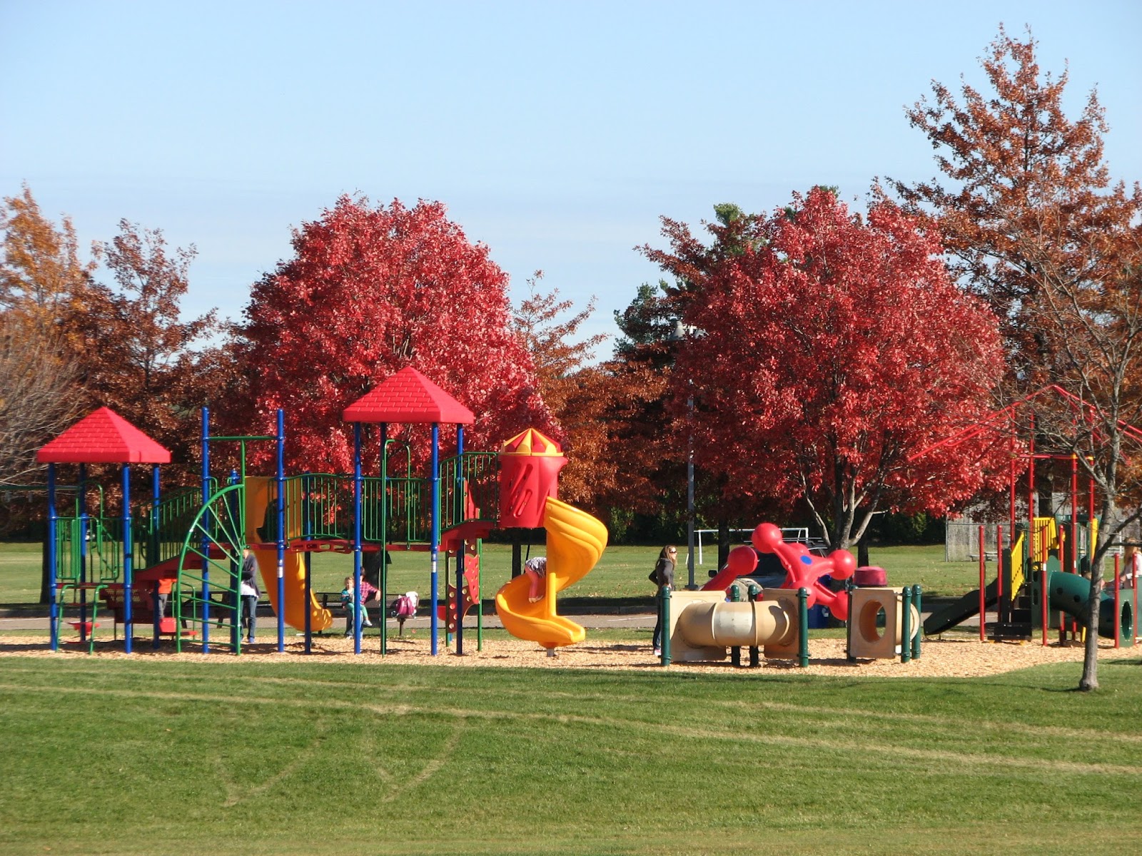 SB Veterans Memorial Park November RED foliage Litter with a Story