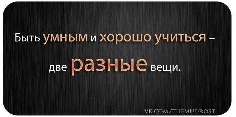 Цитаты л н толстого. Что значит быть умным. Быть дохрена умной бабой вредно. Много знать и быть умным разные вещи. Учить и быть умным разные вещи.