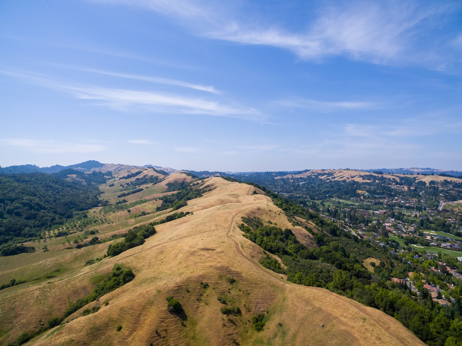 Naturetastic Blog Valle Vista Staging Area (EBMUD Park) Moraga, CA