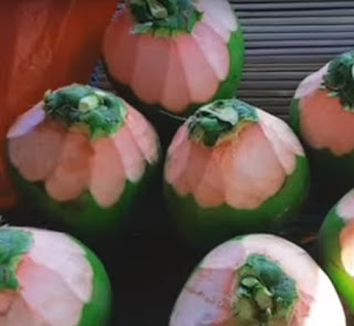 kelapa hijau wulung kelapa hijau wulung untuk batu ginjal
