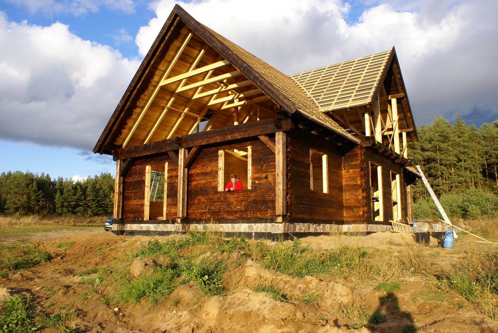 Dwucukry Maja Szkielet Weglowy Zbudowany w szuwarach: maja 2011