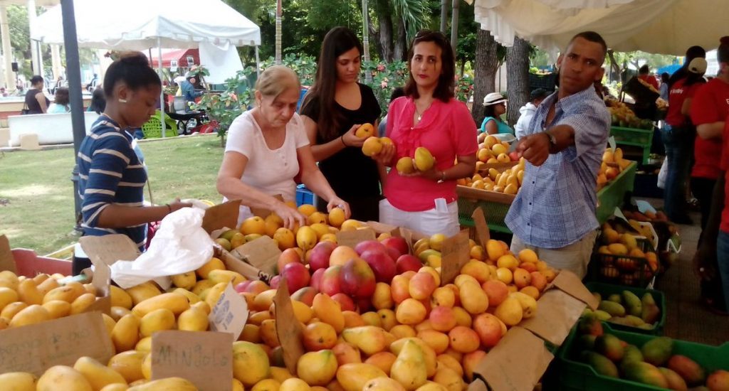 FERIA DEL MANGO EN BANÍ El mango es alternativa para seis provincias de