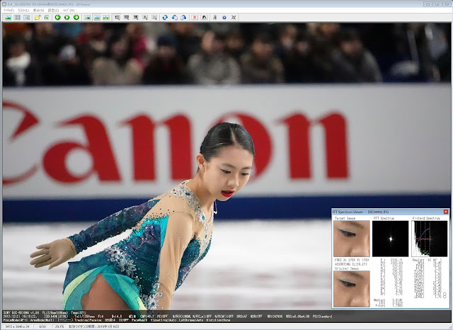 SONY DSC-RX10M4 220mm(600mm) ISO:6400(6738) F:4 Tv:1/1250s