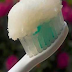 By Using Coconut Oil You Will Be Able To Reverse Cavities And Heal Decomposed Teeth!