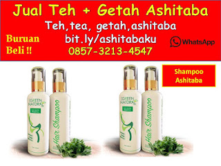 Jual shampoo green angelica keiskei ashitaba extract Jual shampoo green angelica keiskei ashitaba extract