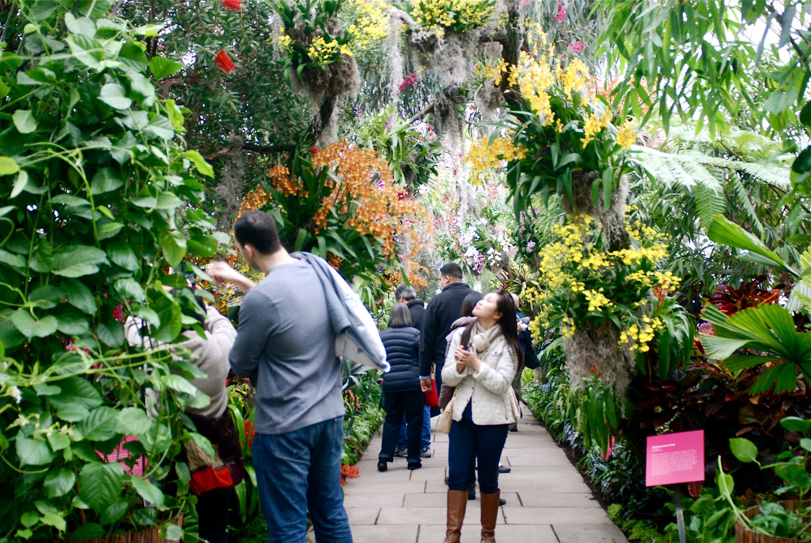 NYC ♥ NYC 11th Annual Orchid Show Opens at the New York Botanical