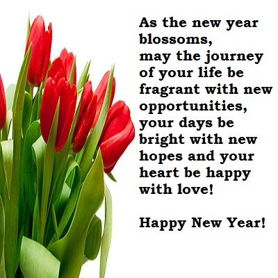 Happy New Year Sms Happy New Year Sms