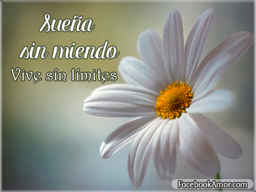 Frases para whatsapp Frases para whatsapp