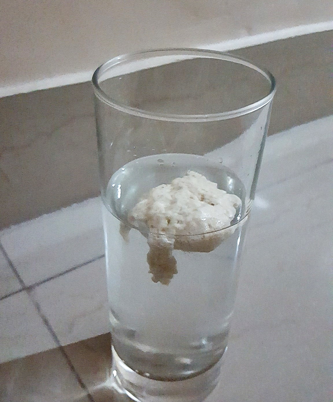 Sourdough Starter
