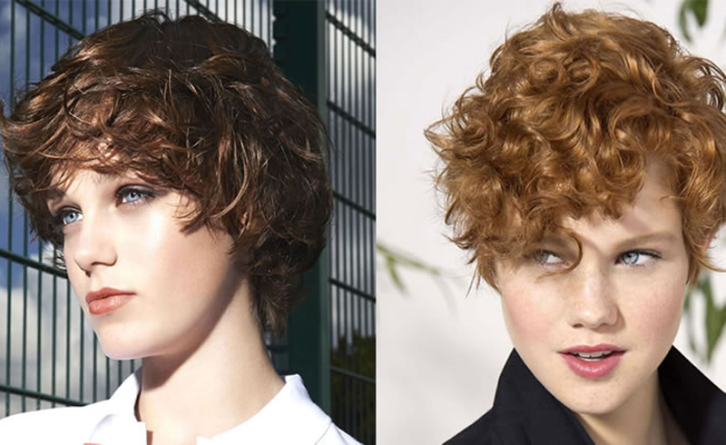 Natural Hairstyles to Try If You Have Short Hair Natural Hairstyles to Try If You Have Short Hair