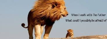 Animal images of fathers day fathers day images of animal