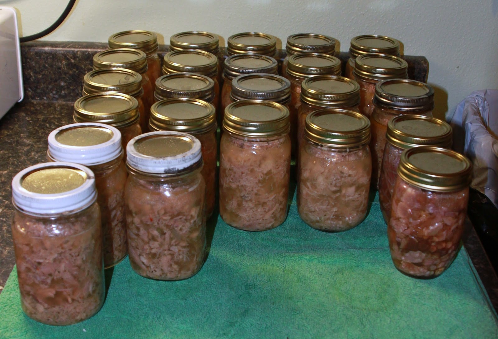 Retirement and Back to the Basics Canned My First Jars of Meat Today