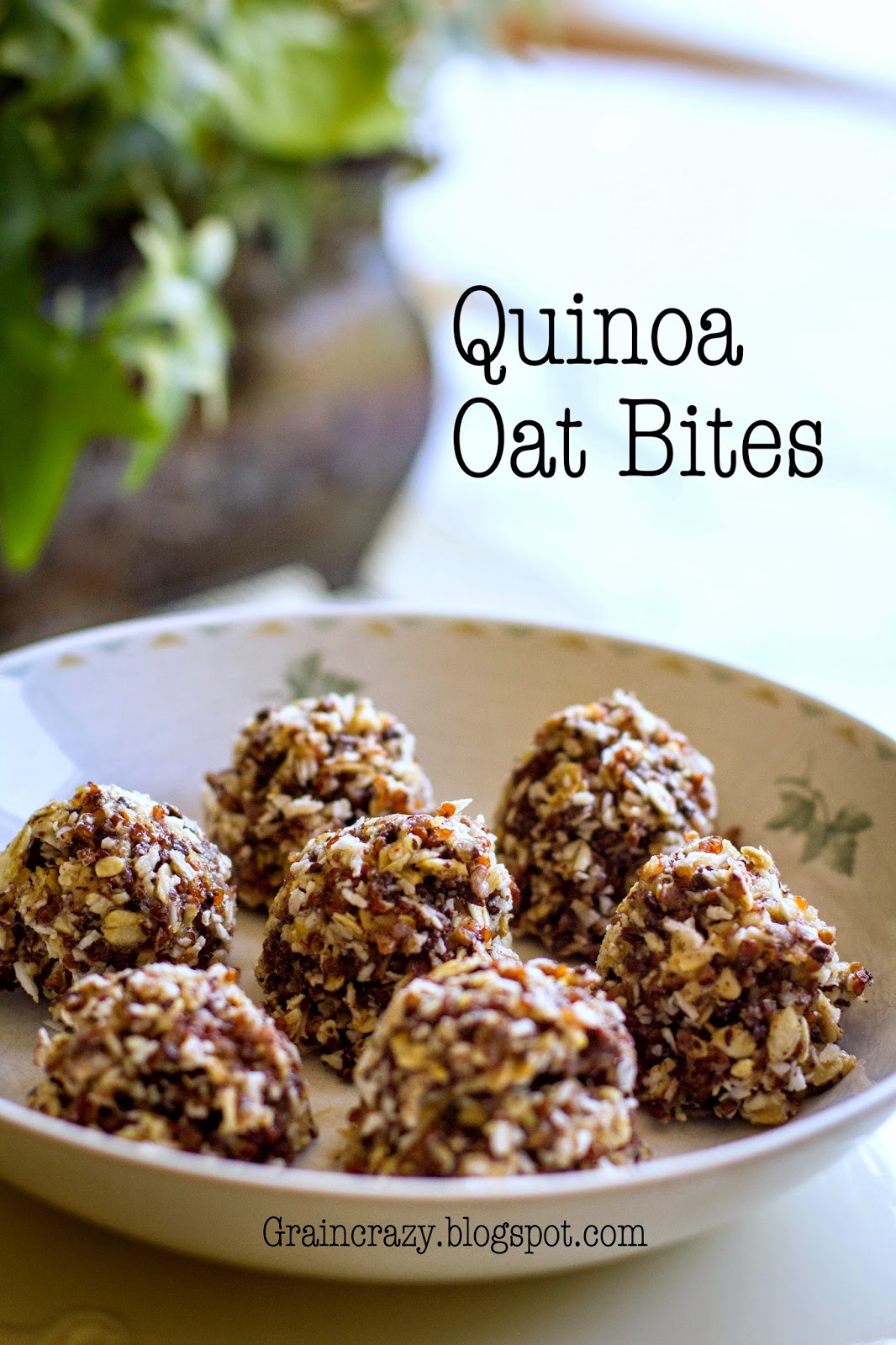 Grain Crazy: Quinoa and Oats Bites (Protein)