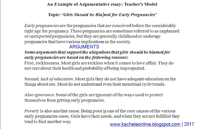 Argumentative essay examples picture