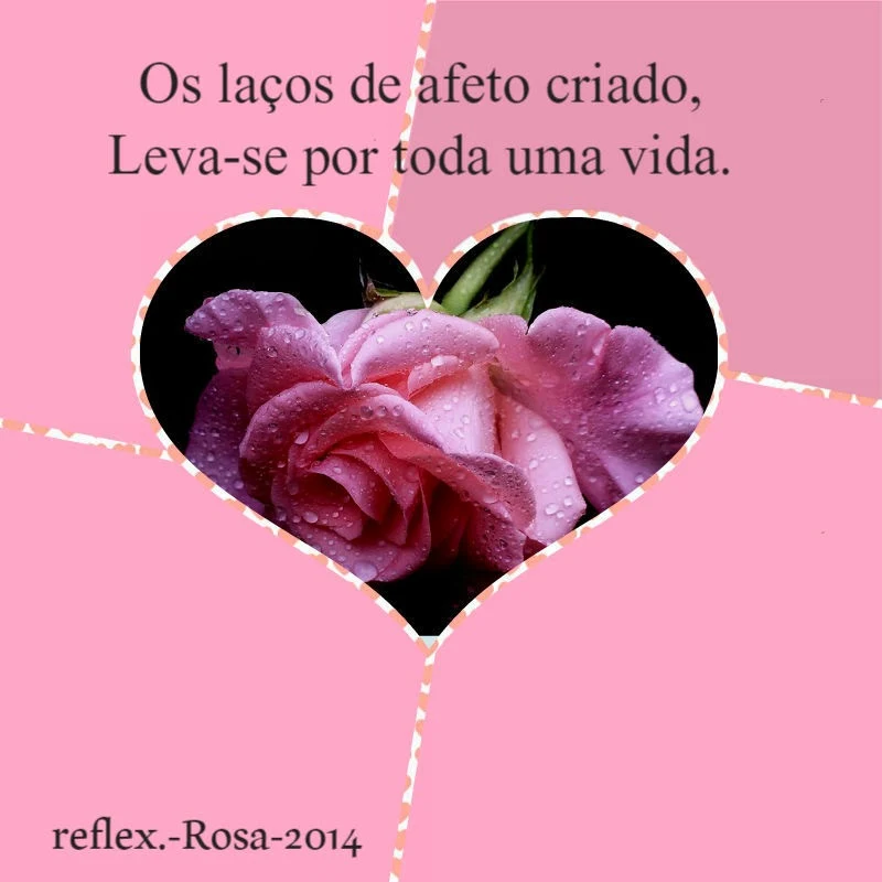 Resultado de imagem para laços de afeto
