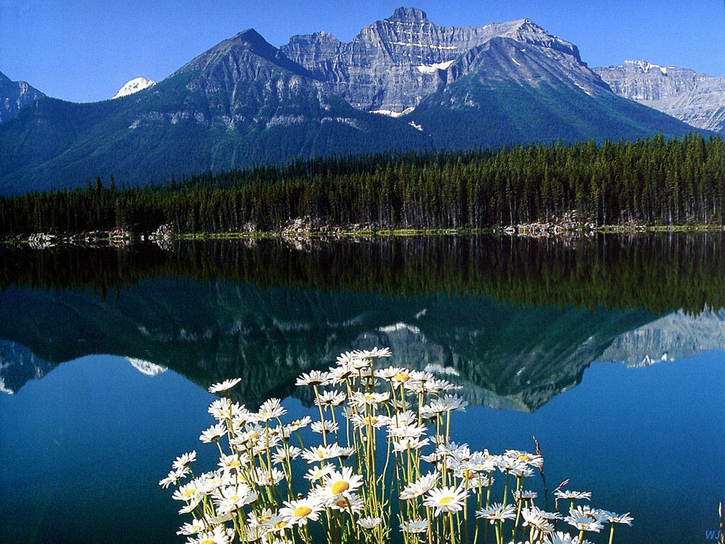 Какая страна известна озерами. Национальный парк Банф, Канада. Национальный парк Банф – «зеленая Жемчужина» Канады. Озеро Банф Канада.