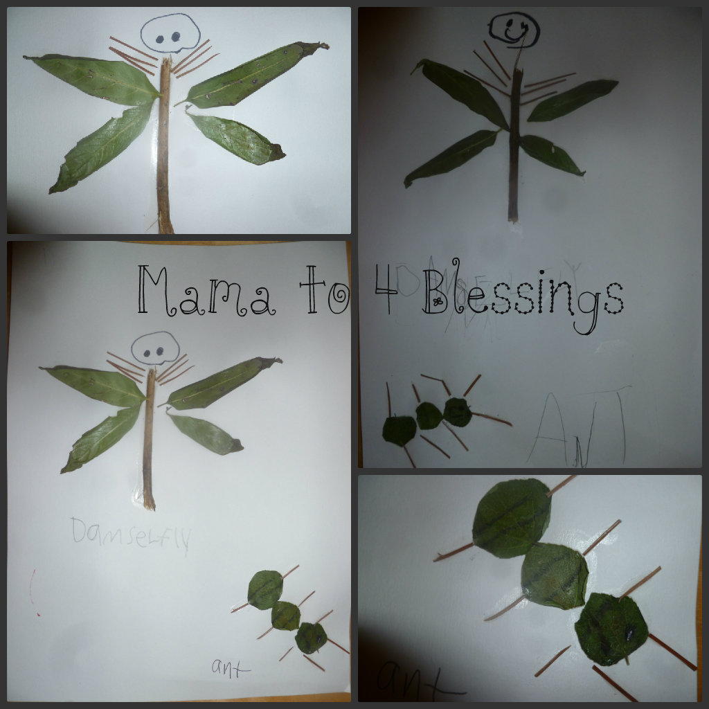 INSECT OBSERVATION + INSECT LEAF CRAFTS (LEARN & LINK) - Mama to 6 ...