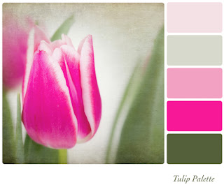 Photo of a Tulip With a Colour Palette At the Side