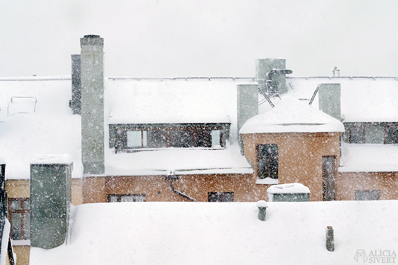 Snöstorm, Stockholm i november. Foto av Alicia Sivertsson.