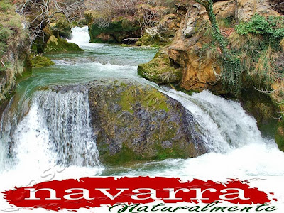 El Nacedero del Urederra el precio de las entradas es gratuito. Es decir, no hay que pagar nada  por parte de los usuarios, para visitar  La  Ruta de las Cascadas de Baquedano, en la Comarca de Urbasa Estella, en Navarra.  Este entorno natural, está  desde hace 3  años, con un aforo limitado, para conservar todo el encanto y la belleza que tiene.  Lo único que deberemos de abonar [en el caso de que aparquemos nuestro vehículo en el Parking de Baquedano] es una tasa, en función del tipo de vehículos que tengamos.