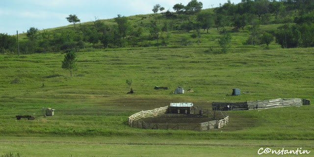 Stâna dupã-amiazã - blog FOTO-IDEEA