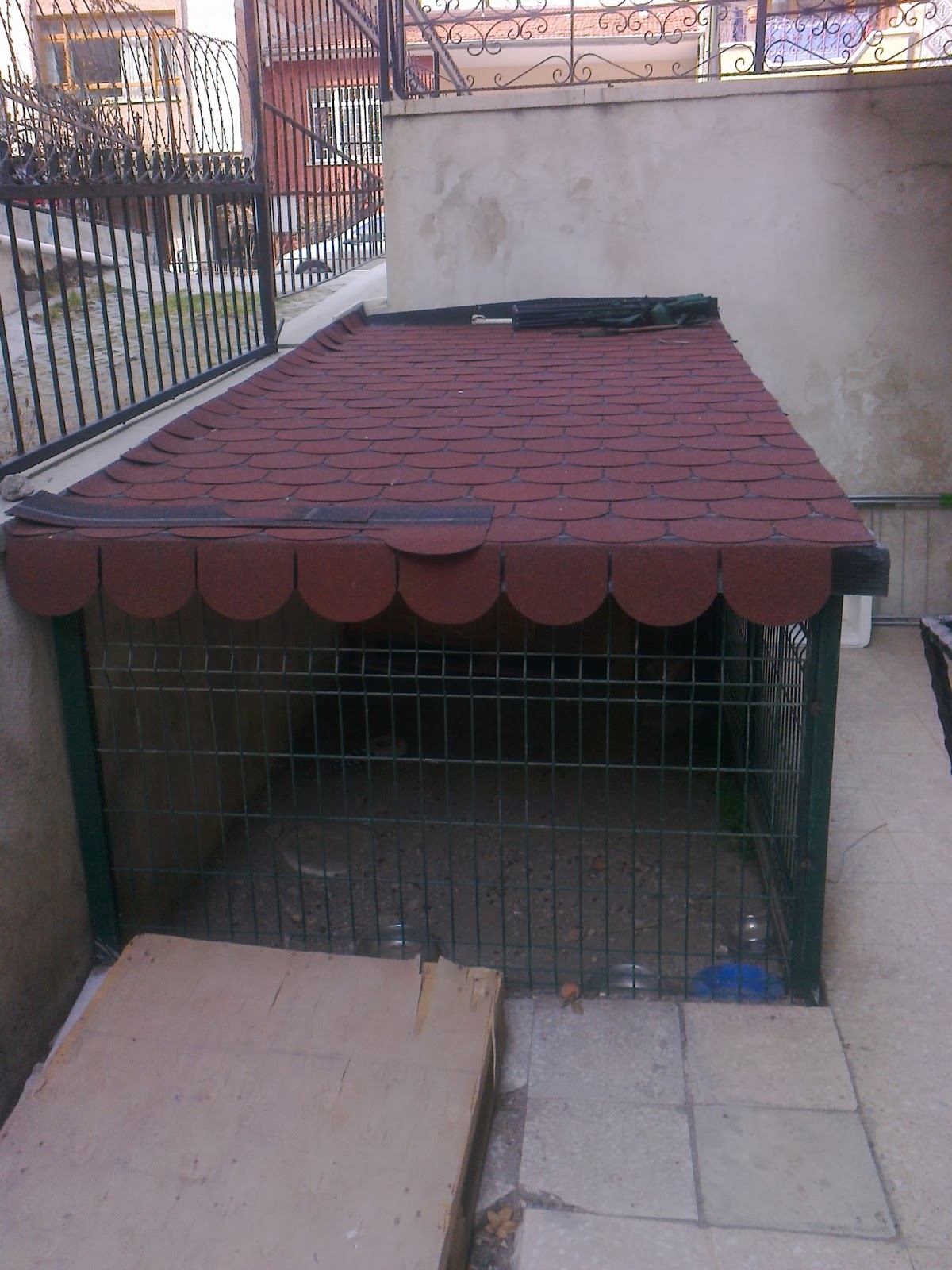 aysaatleri SATILIK KÖPEK KULÜBEMİZ VAR…….