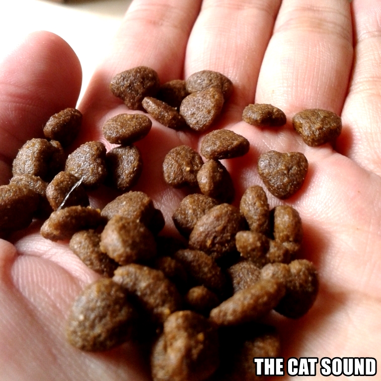 The Cat Sound Review Makanan Kucing Eureka Kitten Holistic Cat Salmon & Rice Dry Food