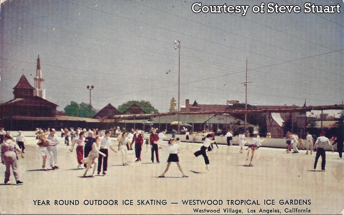 GORILLAS DON'T BLOG Westwood Tropical Ice Gardens