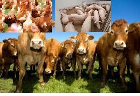 LIVESTOCK FARMING - FREE BUSINESS PLAN TEMPLATE LIVESTOCK FARMING - FREE BUSINESS PLAN TEMPLATE