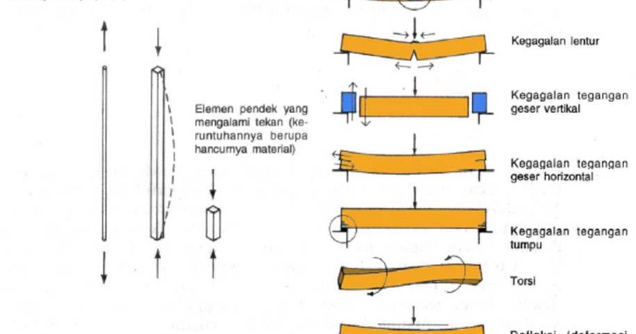 Catatan Pelajaran Di Sekolah Aksi Gaya Eksternal Pada Struktur