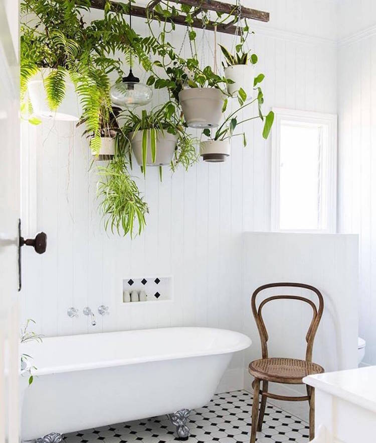 The Ultimate Guide To Indoor Hanging Plants, Can You Hang Plants From The Ceiling